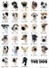 plakaty-the-dog-collection-2252.jpg